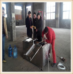 葵花籽去皮機(jī)報(bào)價(jià) 廠家