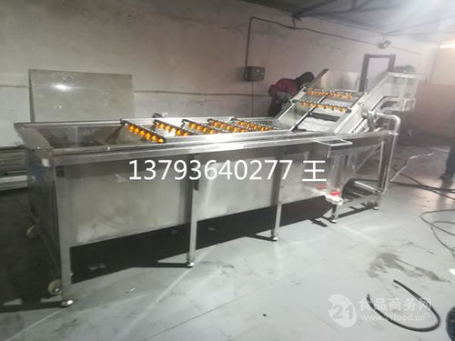 山東果蔬清洗設備價格解析與產(chǎn)品報價指南