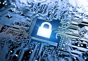 科技巨頭全面押注AI 對(duì)上海軟件開發(fā)的深刻啟示