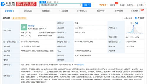 紫光股份云南布局?jǐn)?shù)字經(jīng)濟(jì)新篇章 成立數(shù)字科技公司加碼數(shù)據(jù)處理與存儲(chǔ)服務(wù)